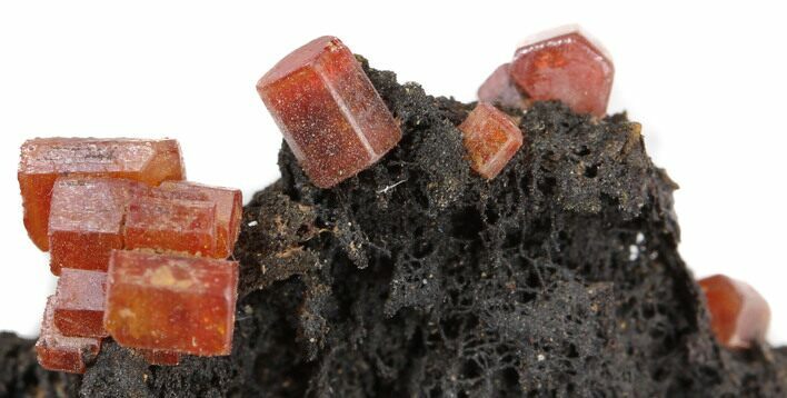Red Vanadinite Crystals on Manganese Oxide - Morocco #38491